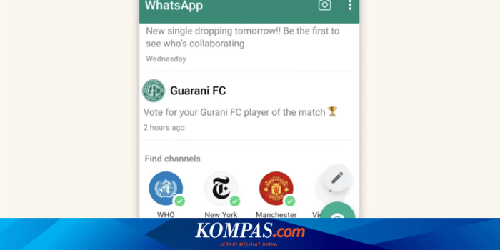 Aplikasi Whatsapp Versi Android Memiliki Fungsi Antara Lain, Kecuali…